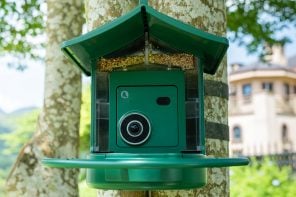 BirdVue: The World’s First 4G Smart Bird Feeder Finally Lets You Watch Birds Where They Actually Live