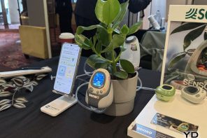 From Self-Caring Plants to Smokeless Steaks: These IFA 2026 Innovations Redesign Everyday Living