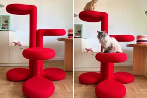 The 5 Home Upgrades Every Pet Parent Actually Uses (Not Just Buys)