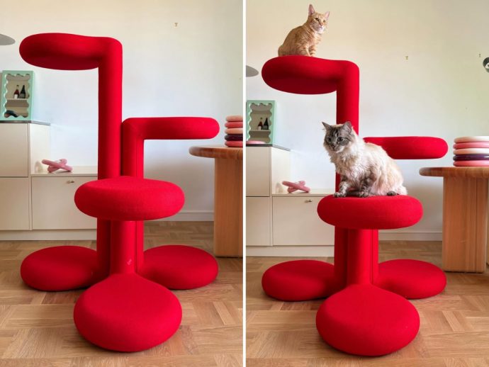 The 5 Home Upgrades Every Pet Parent Actually Uses (Not Just Buys)
