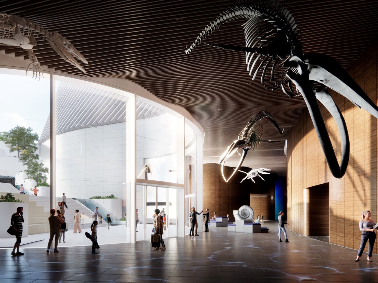 The Shenzhen Natural History Museum looks like it was carved by water instead of architects