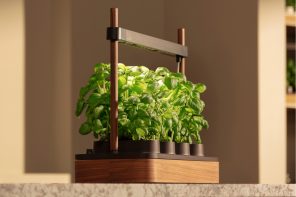 The Auk Mini 2 brings your grocery store’s herb aisle to your kitchen counter (with zero human effort)