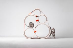 Bloom Built a Cat Tower Around the Cat You Haven’t Got Yet