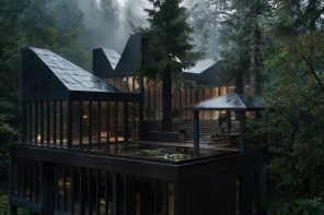 Privacy Without More Walls: A Forest Villa Concept