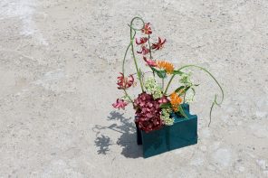 The Last Shape You’d Pick for a Vase Just Became Perfect for Flowers